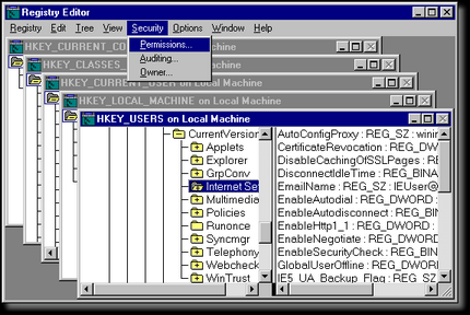 NT Information Configuration Editor